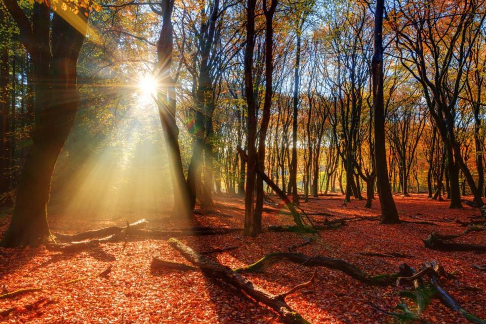 Enjoy Nature, Nice Stay And Beautiful Surroundings Putten Exteriér fotografie